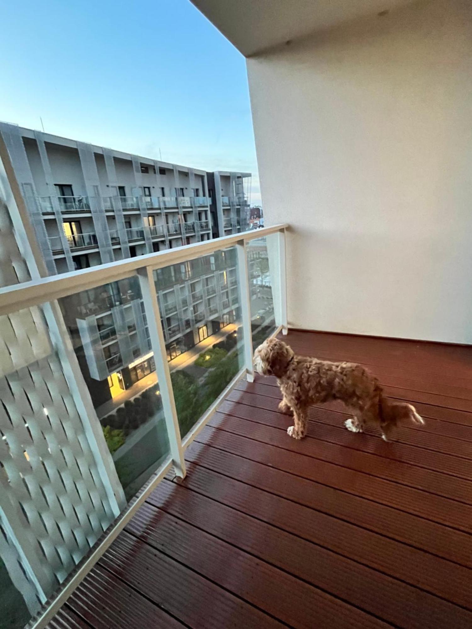 Family House By The River Odra -Panoramic Terrace - 3Room Apartment With 2 Separate Bedrooms And 2 Balconies By Wroapart-Pl- Perfect For Family & Business Stays Вроцлав Экстерьер фото